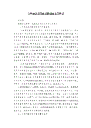 在示范区项目建设推进会上的讲话.docx