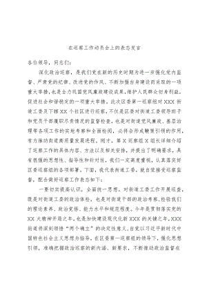 在巡察工作动员会上的表态发言 3.docx