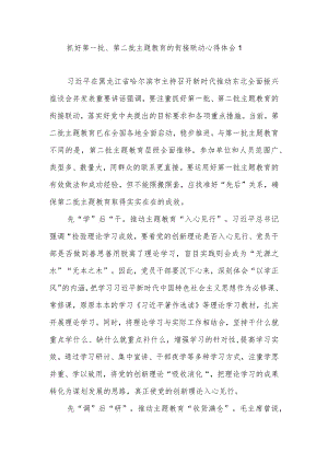 党员干部注重抓好第一批、第二批主题教育的衔接联动学习新时代推动东北全面振兴座谈会讲话精神研讨发言4篇.docx