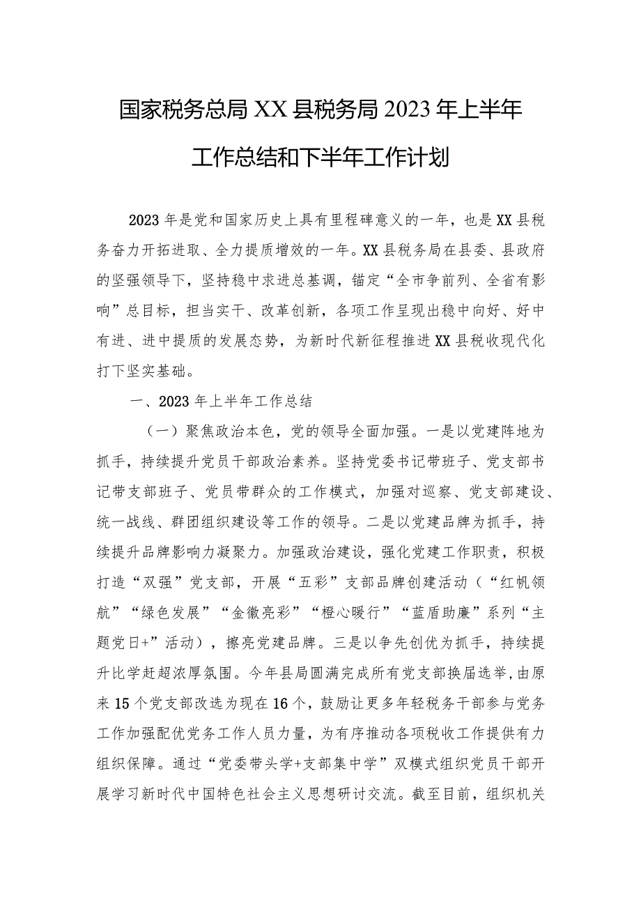 国家税务总局XX县税务局2023年上半年工作总结和下半年工作计划.docx_第1页