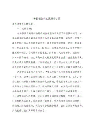 暑假销售员实践报告2篇.docx