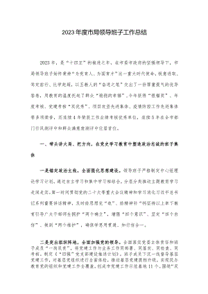 2023年度市局领导班子工作总结.docx