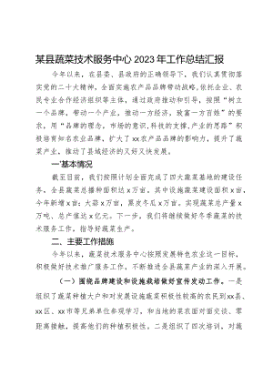 某县蔬菜技术服务中心2023年工作总结汇报.docx