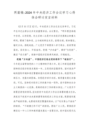 两篇稿：2024年中央经济工作会议学习心得体会研讨发言材料.docx