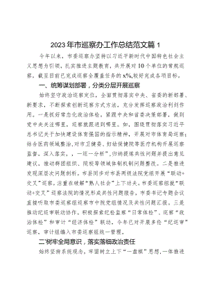 2023年市巡x办工作总结察汇报报告2篇.docx