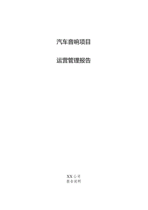 汽车音响项目运营管理报告.docx