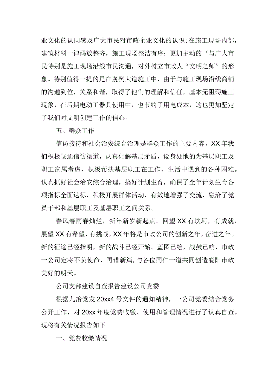 公司支部建设自查报告.docx_第3页