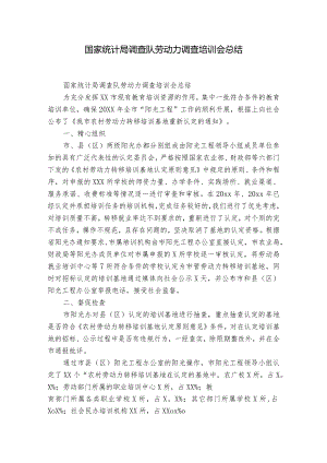 国家统计局调查队劳动力调查培训会总结.docx