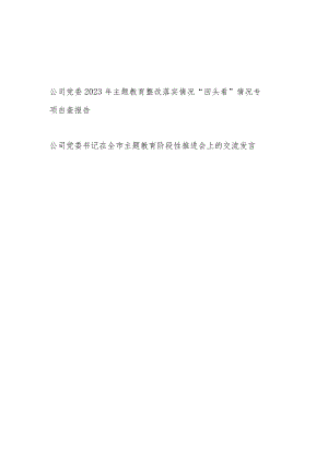 公司党委2023年学思想、强党性、重实践、建新功、以学铸魂、以学增智、以学正风、以学促干整改落实情况“回头看”情况专项自查报告和书记.docx