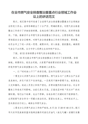 全市燃气安全排查整治暨重点行业领域工作会议讲话.docx