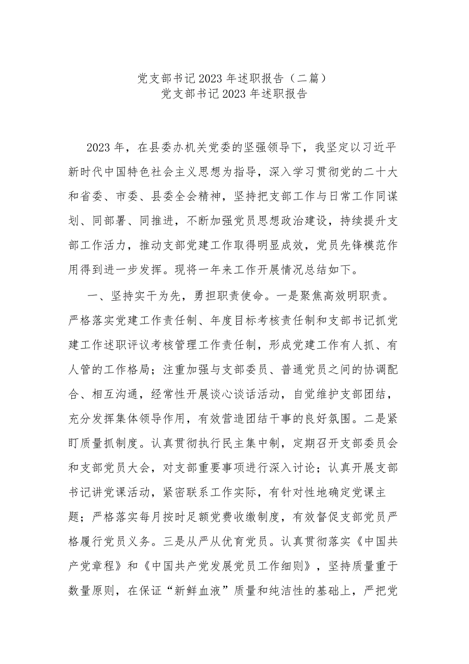 党支部书记2023年述职报告(二篇).docx_第1页