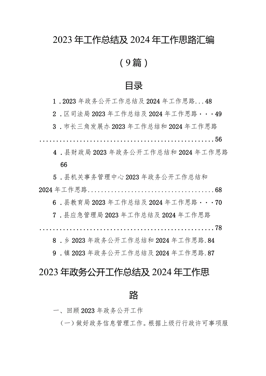 2023年工作总结及2024年工作思路汇编（9篇）.docx_第1页