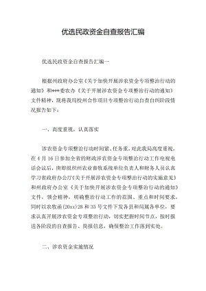 优选民政资金自查报告汇编.docx