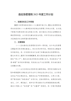 县应急管理局2023年度工作计划.docx