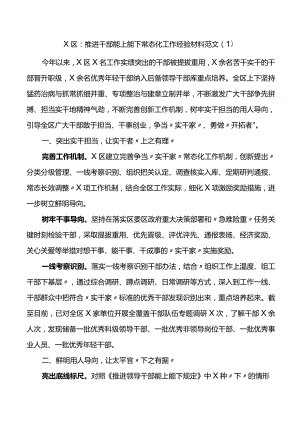 10篇推进干部能上能下工作经验材料（总结汇报报告）.docx