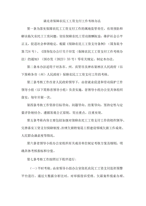 湖北省保障农民工工资支付工作考核办法.docx