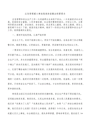 应急管理重大事故隐患排查整治部署要求.docx