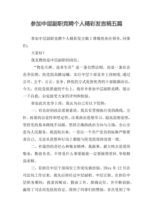 参加中层副职竞聘个人精彩发言稿五篇.docx