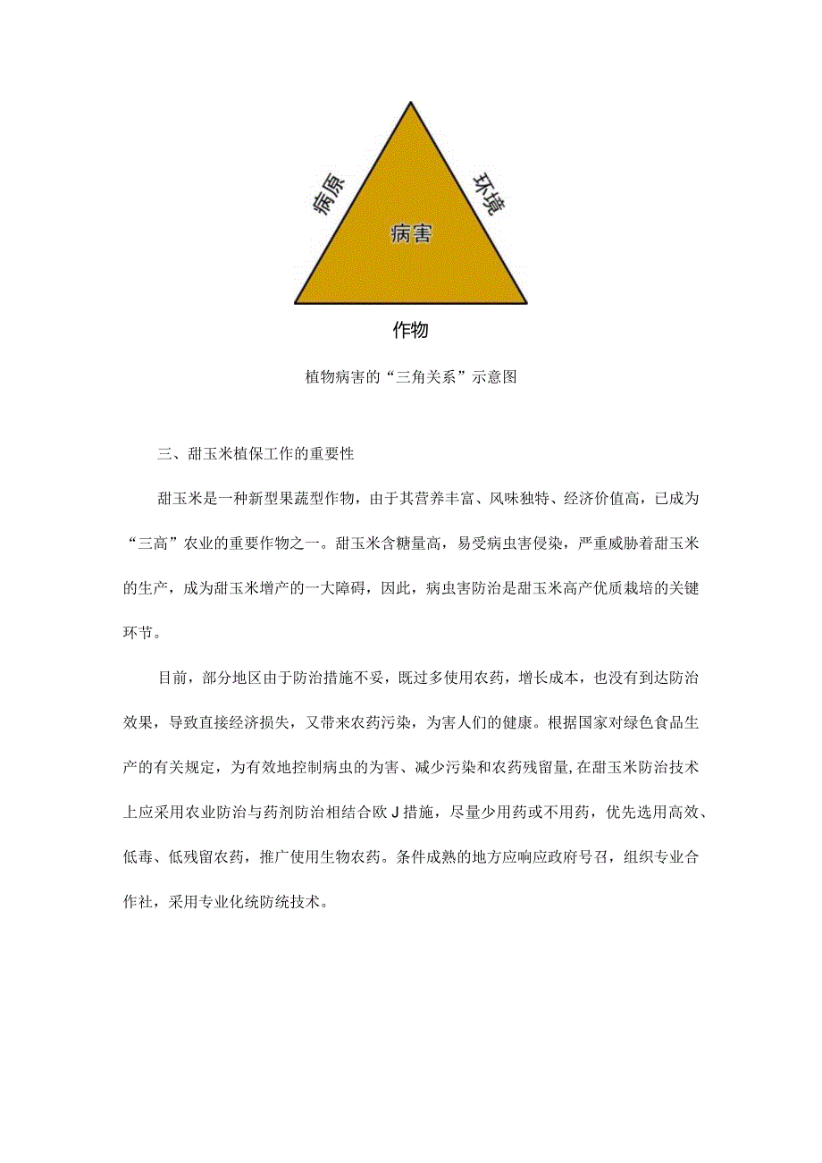 甜玉米植保解决方案大揭秘.docx_第2页