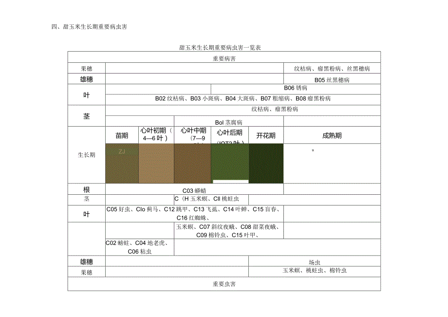 甜玉米植保解决方案大揭秘.docx_第3页