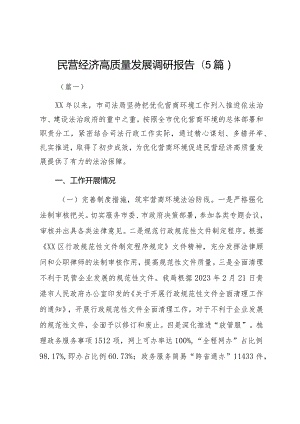 民营经济高质量发展调研报告（5篇）.docx