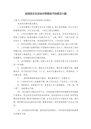 巡视民主生活会对常委班子的意见六篇.docx