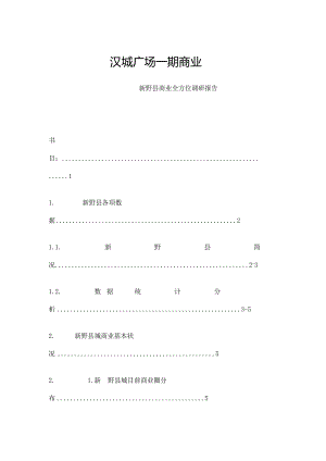 河南汉城广场一期商业新野县商业全方位调研报告.docx