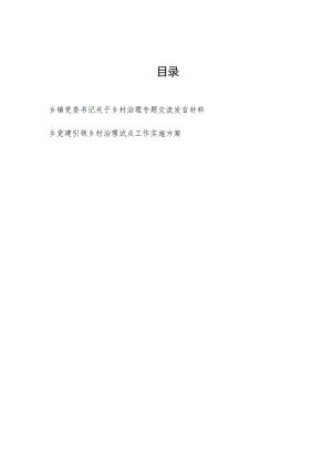 乡镇党委书记关于乡村治理专题交流发言材料和乡镇党建引领乡村治理试点工作实施方案.docx