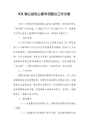 XX镇公益性公墓专项整治工作方案.docx