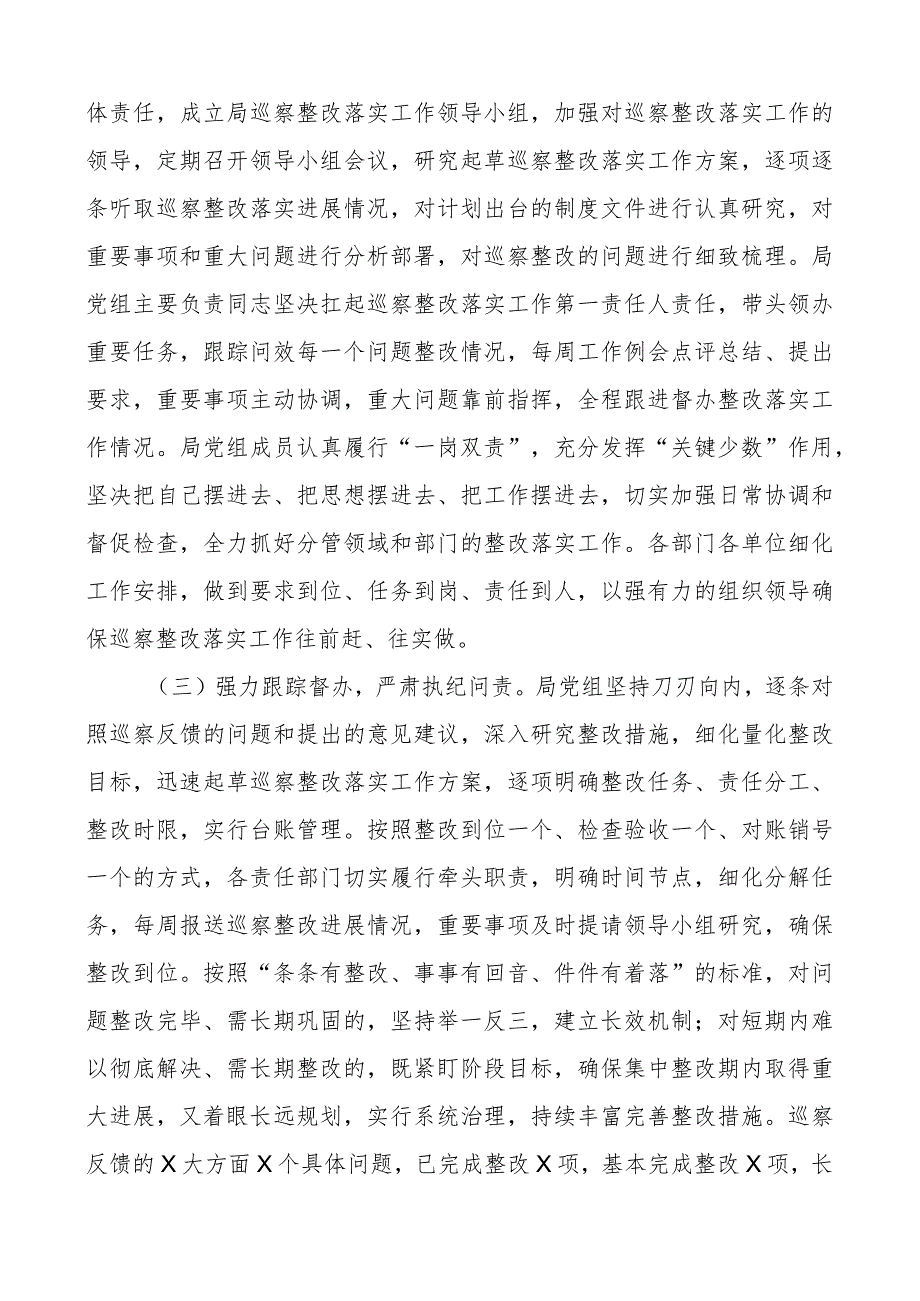 c整改进展情况报告局工作汇报总结察.docx_第2页