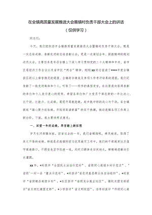 在全镇高质量发展推进大会暨镇村负责干部大会上的讲话.docx