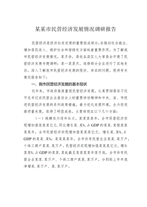 某某市民营经济发展情况调研报告.docx