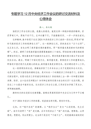 专题学习12月中央经济工作会议的研讨交流材料及心得体会.docx