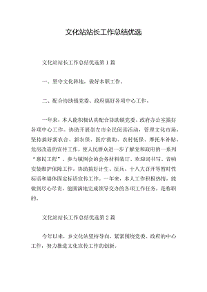 文化站站长工作总结优选.docx