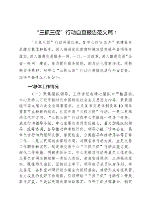 三抓三促行动自查报告工作汇报2篇.docx