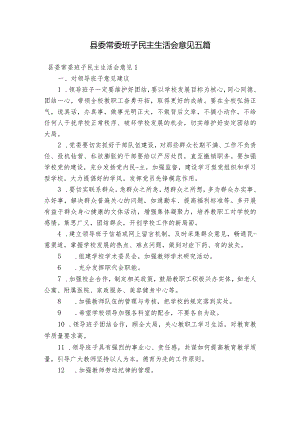 县委常委班子民主生活会意见五篇.docx