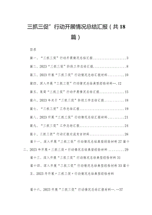 “三抓三促”行动开展情况总结汇报（共18篇）.docx