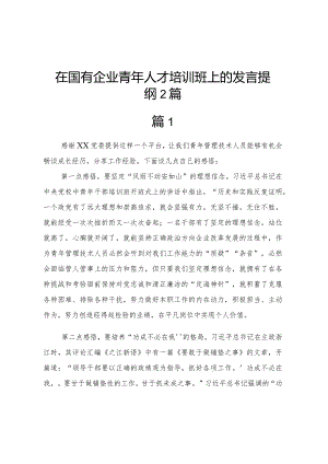 在国有企业青年人才培训班上的发言提纲2篇.docx