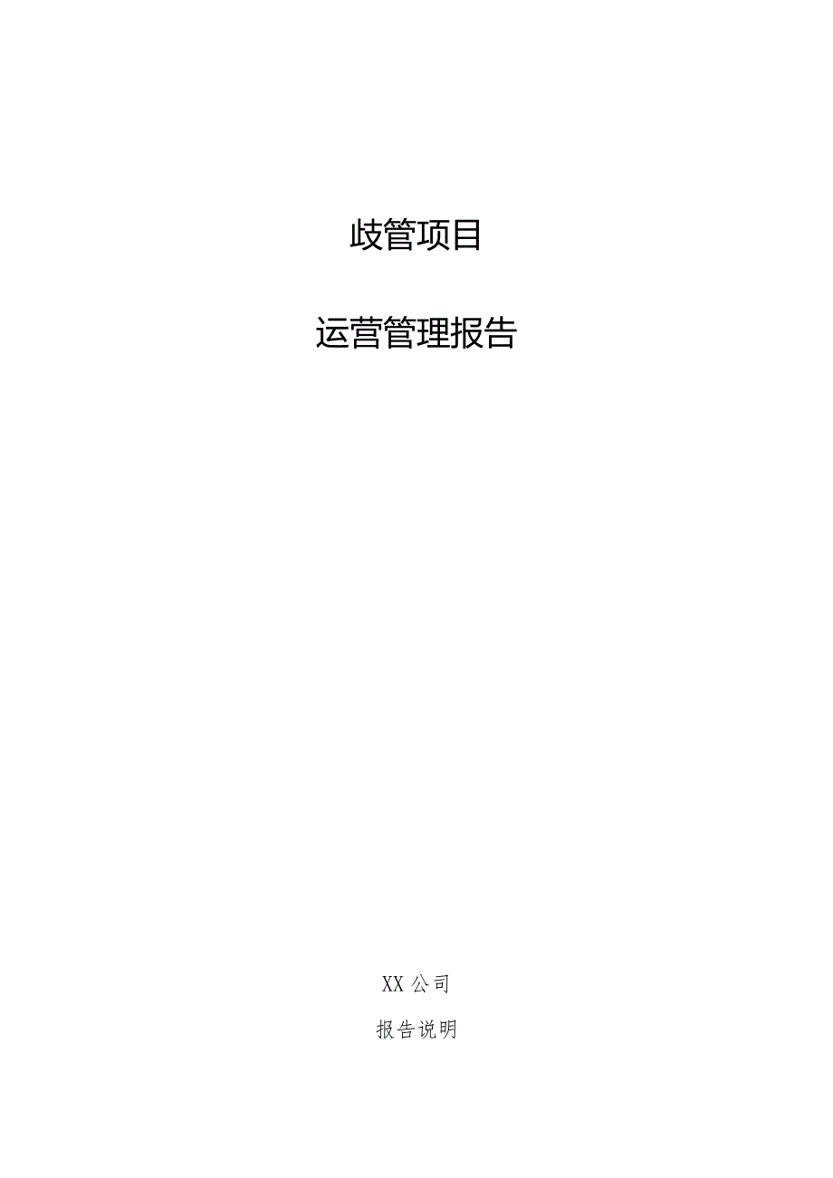 歧管项目运营管理报告.docx_第1页