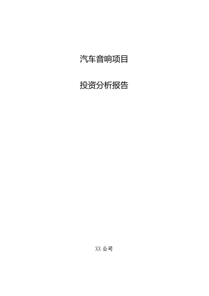 汽车音响项目投资分析报告.docx