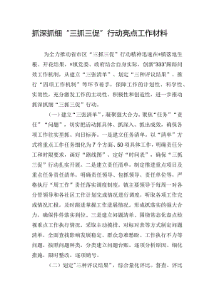 抓深抓细“三抓三促”行动亮点工作材料.docx