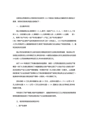 合肥宏达有限责任公司财务情况说明书..docx