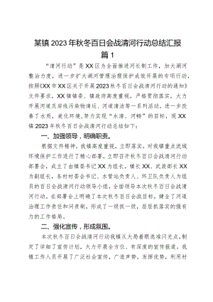 某镇2023年秋冬百日会战清河行动总结汇报2篇.docx