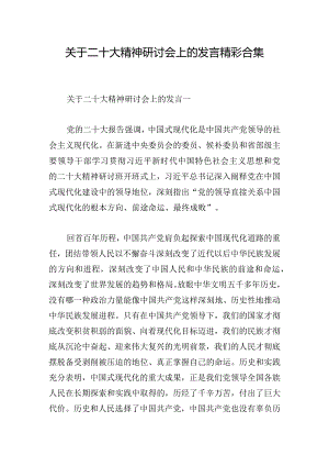 关于二十大精神研讨会上的发言精彩合集.docx