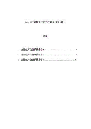 2023年主题教育自查评估报告汇编（3篇）.docx