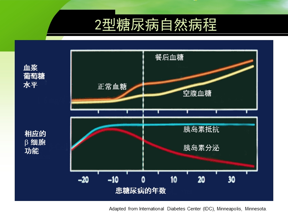 糖尿病口服降糖药物治疗.ppt_第2页