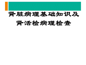 肾活检病理检查及肾脏病理基础知识.ppt.ppt