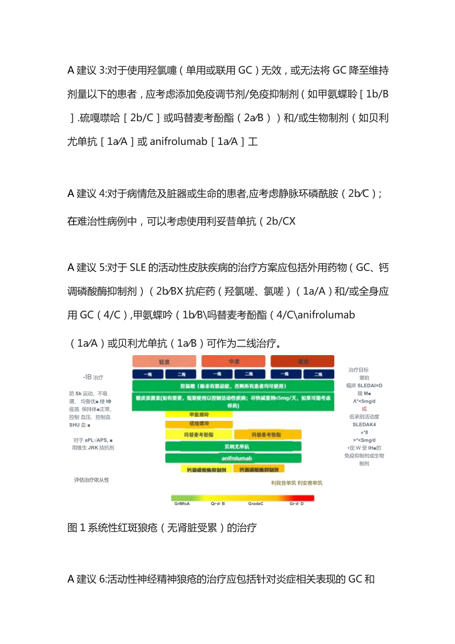 2023版EULAR狼疮管理建议速览（附治疗流程图）.docx_第3页