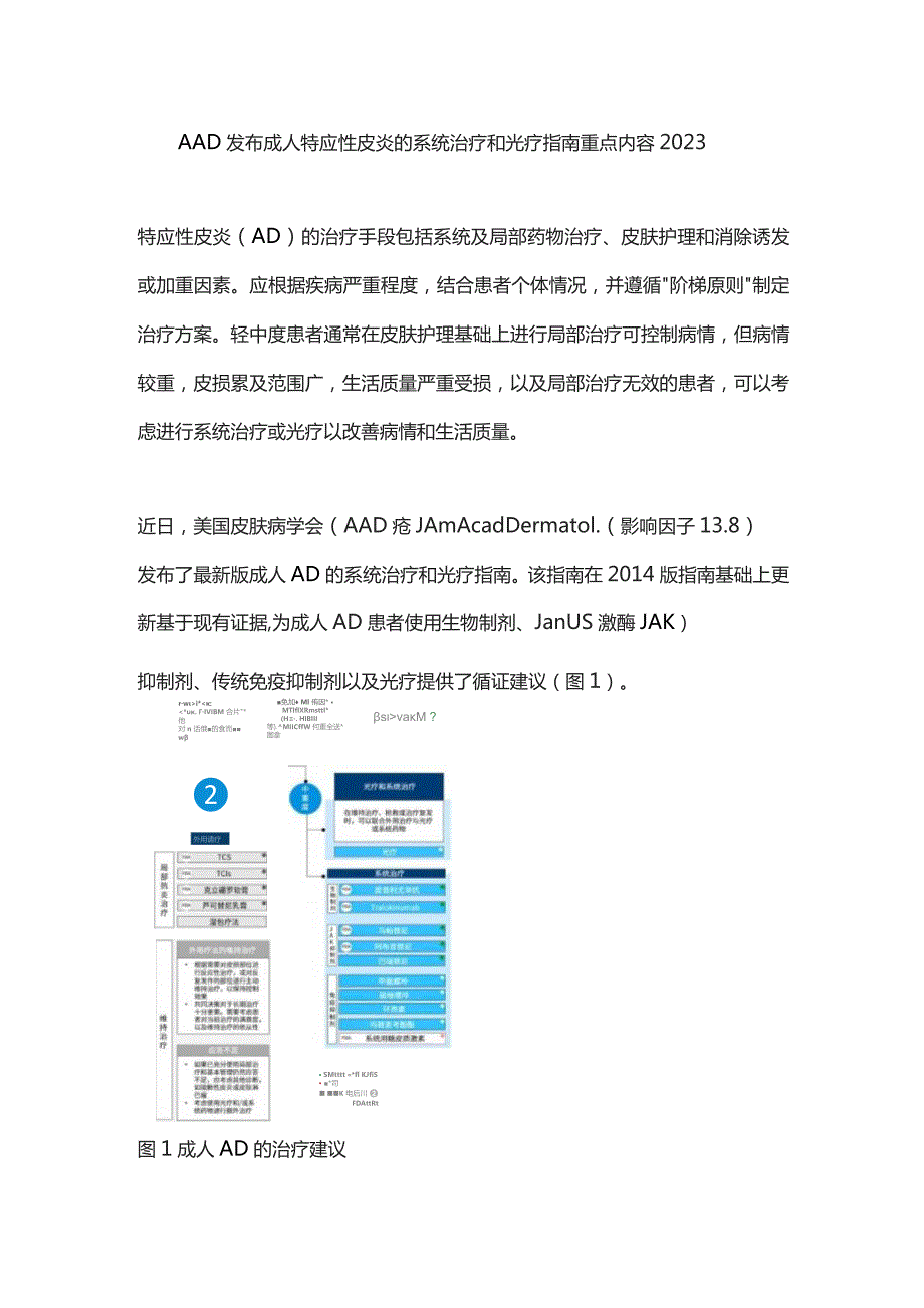 AAD发布成人特应性皮炎的系统治疗和光疗指南重点内容2023.docx_第1页