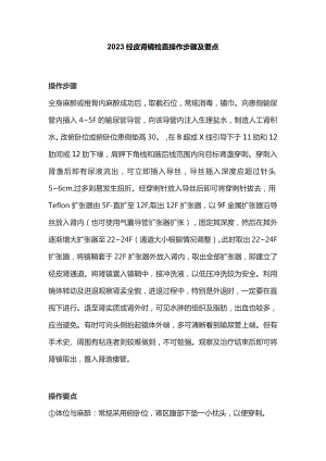 2023经皮肾镜检查操作步骤及要点.docx